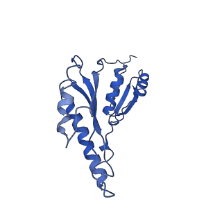 8913_6duz_b_v1-2
Structure of the periplasmic domains of PrgH and PrgK from the assembled Salmonella type III secretion injectisome needle complex