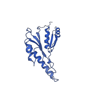 8913_6duz_c_v1-1
Structure of the periplasmic domains of PrgH and PrgK from the assembled Salmonella type III secretion injectisome needle complex