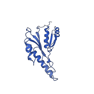 8913_6duz_c_v1-2
Structure of the periplasmic domains of PrgH and PrgK from the assembled Salmonella type III secretion injectisome needle complex