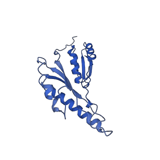 8913_6duz_d_v1-2
Structure of the periplasmic domains of PrgH and PrgK from the assembled Salmonella type III secretion injectisome needle complex