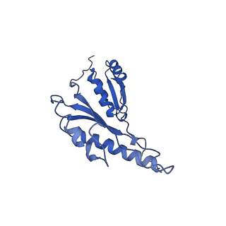 8913_6duz_e_v1-2
Structure of the periplasmic domains of PrgH and PrgK from the assembled Salmonella type III secretion injectisome needle complex