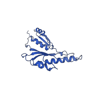 8913_6duz_g_v1-2
Structure of the periplasmic domains of PrgH and PrgK from the assembled Salmonella type III secretion injectisome needle complex