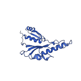 8913_6duz_h_v1-1
Structure of the periplasmic domains of PrgH and PrgK from the assembled Salmonella type III secretion injectisome needle complex
