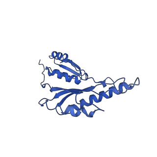 8913_6duz_h_v1-2
Structure of the periplasmic domains of PrgH and PrgK from the assembled Salmonella type III secretion injectisome needle complex