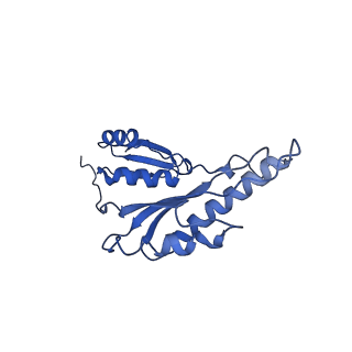 8913_6duz_i_v1-2
Structure of the periplasmic domains of PrgH and PrgK from the assembled Salmonella type III secretion injectisome needle complex