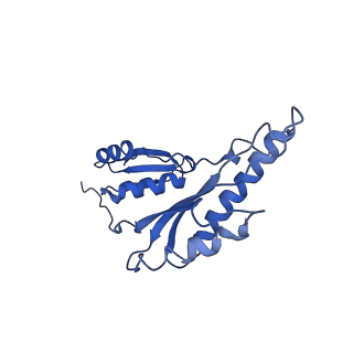 8913_6duz_j_v1-2
Structure of the periplasmic domains of PrgH and PrgK from the assembled Salmonella type III secretion injectisome needle complex