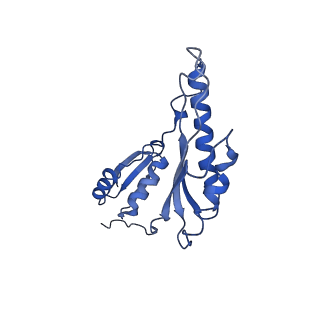 8913_6duz_m_v1-1
Structure of the periplasmic domains of PrgH and PrgK from the assembled Salmonella type III secretion injectisome needle complex