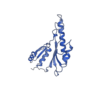 8913_6duz_m_v1-2
Structure of the periplasmic domains of PrgH and PrgK from the assembled Salmonella type III secretion injectisome needle complex