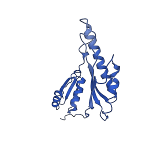 8913_6duz_n_v1-1
Structure of the periplasmic domains of PrgH and PrgK from the assembled Salmonella type III secretion injectisome needle complex