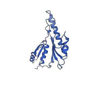 8913_6duz_n_v1-2
Structure of the periplasmic domains of PrgH and PrgK from the assembled Salmonella type III secretion injectisome needle complex