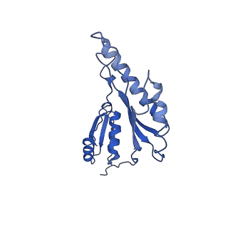 8913_6duz_o_v1-1
Structure of the periplasmic domains of PrgH and PrgK from the assembled Salmonella type III secretion injectisome needle complex
