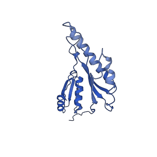 8913_6duz_o_v1-2
Structure of the periplasmic domains of PrgH and PrgK from the assembled Salmonella type III secretion injectisome needle complex