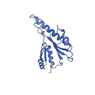 8913_6duz_p_v1-1
Structure of the periplasmic domains of PrgH and PrgK from the assembled Salmonella type III secretion injectisome needle complex