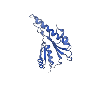 8913_6duz_p_v1-2
Structure of the periplasmic domains of PrgH and PrgK from the assembled Salmonella type III secretion injectisome needle complex