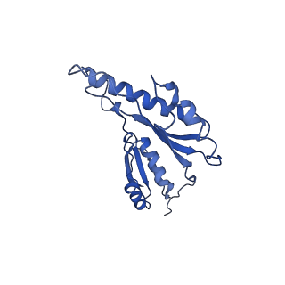 8913_6duz_q_v1-1
Structure of the periplasmic domains of PrgH and PrgK from the assembled Salmonella type III secretion injectisome needle complex