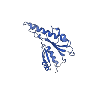 8913_6duz_q_v1-2
Structure of the periplasmic domains of PrgH and PrgK from the assembled Salmonella type III secretion injectisome needle complex