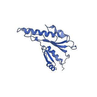 8913_6duz_r_v1-1
Structure of the periplasmic domains of PrgH and PrgK from the assembled Salmonella type III secretion injectisome needle complex