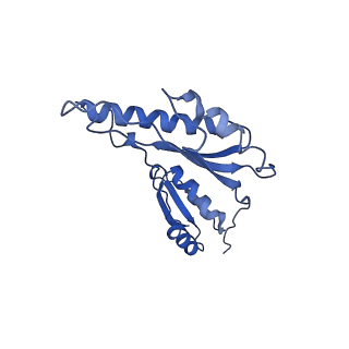 8913_6duz_r_v1-2
Structure of the periplasmic domains of PrgH and PrgK from the assembled Salmonella type III secretion injectisome needle complex