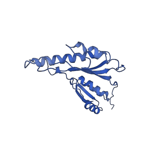 8913_6duz_s_v1-1
Structure of the periplasmic domains of PrgH and PrgK from the assembled Salmonella type III secretion injectisome needle complex