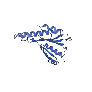 8913_6duz_s_v1-2
Structure of the periplasmic domains of PrgH and PrgK from the assembled Salmonella type III secretion injectisome needle complex