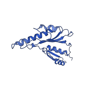 8913_6duz_t_v1-1
Structure of the periplasmic domains of PrgH and PrgK from the assembled Salmonella type III secretion injectisome needle complex