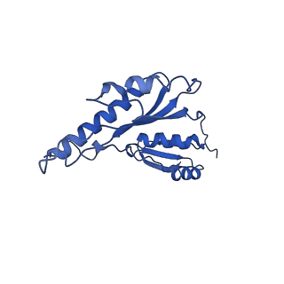 8913_6duz_u_v1-2
Structure of the periplasmic domains of PrgH and PrgK from the assembled Salmonella type III secretion injectisome needle complex