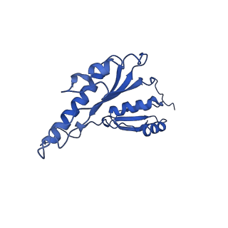 8913_6duz_v_v1-1
Structure of the periplasmic domains of PrgH and PrgK from the assembled Salmonella type III secretion injectisome needle complex