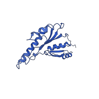 8913_6duz_v_v1-2
Structure of the periplasmic domains of PrgH and PrgK from the assembled Salmonella type III secretion injectisome needle complex