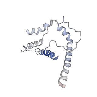 27735_8dvd_A_v1-2
Cryo-EM structure of SIVmac239 SOS-2P Env trimer in complex with human bNAb PGT145