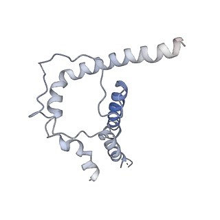 27735_8dvd_B_v1-2
Cryo-EM structure of SIVmac239 SOS-2P Env trimer in complex with human bNAb PGT145