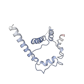 27735_8dvd_C_v1-2
Cryo-EM structure of SIVmac239 SOS-2P Env trimer in complex with human bNAb PGT145
