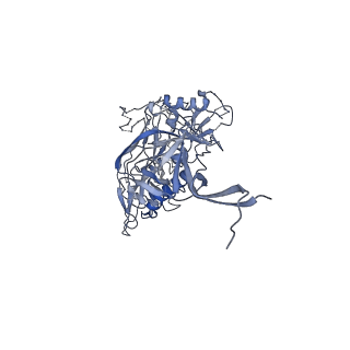 27735_8dvd_F_v1-2
Cryo-EM structure of SIVmac239 SOS-2P Env trimer in complex with human bNAb PGT145