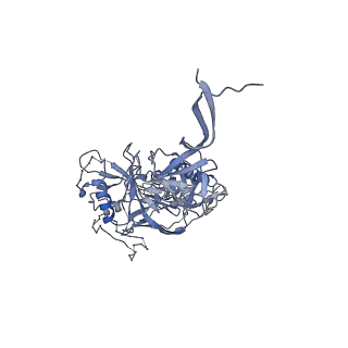 27735_8dvd_G_v1-2
Cryo-EM structure of SIVmac239 SOS-2P Env trimer in complex with human bNAb PGT145