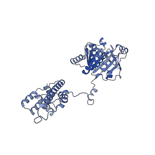 27737_8dvf_C_v1-1
T4 Bacteriophage primosome with single strand DNA, state 1