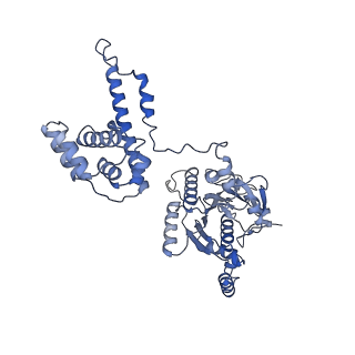 27737_8dvf_E_v1-1
T4 Bacteriophage primosome with single strand DNA, state 1