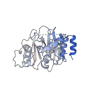 27737_8dvf_H_v1-1
T4 Bacteriophage primosome with single strand DNA, state 1
