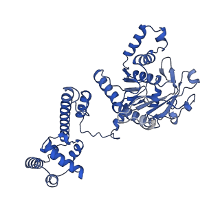 27739_8dvi_B_v1-1
T4 bacteriophage primosome with single strand DNA, State 2