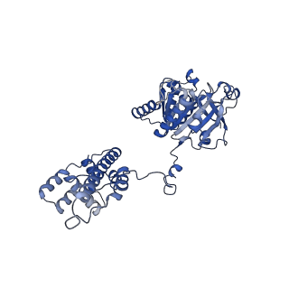 27739_8dvi_C_v1-1
T4 bacteriophage primosome with single strand DNA, State 2