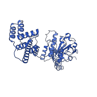 27739_8dvi_D_v1-1
T4 bacteriophage primosome with single strand DNA, State 2
