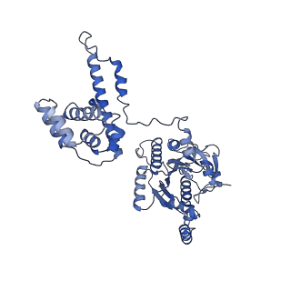 27739_8dvi_E_v1-1
T4 bacteriophage primosome with single strand DNA, State 2