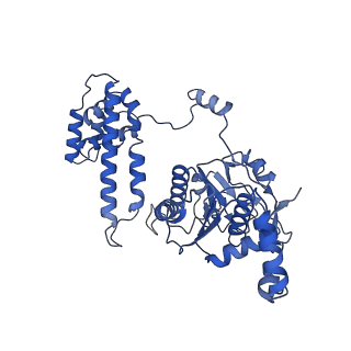 27739_8dvi_F_v1-1
T4 bacteriophage primosome with single strand DNA, State 2