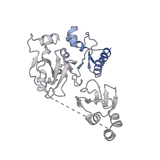 27739_8dvi_H_v1-1
T4 bacteriophage primosome with single strand DNA, State 2