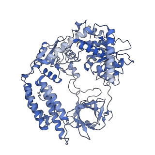 27744_8dvs_A_v1-1
Cryo-EM structure of RIG-I bound to the end of OHSLR30 (+ATP)