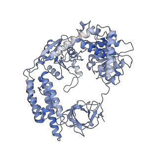 27745_8dvu_A_v1-1
Cryo-EM structure of RIG-I bound to the internal sites of OHSLR30 (+ATP)