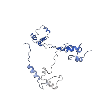 30875_7dvq_2_v1-0
Cryo-EM Structure of the Activated Human Minor Spliceosome (minor Bact Complex)