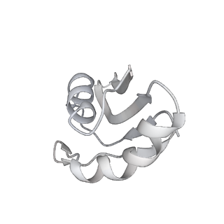 30875_7dvq_4_v1-0
Cryo-EM Structure of the Activated Human Minor Spliceosome (minor Bact Complex)