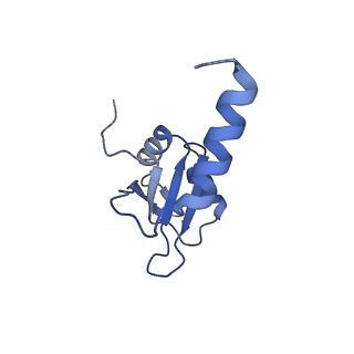 30875_7dvq_5_v1-0
Cryo-EM Structure of the Activated Human Minor Spliceosome (minor Bact Complex)
