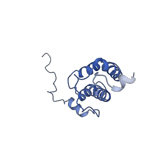 30875_7dvq_8_v1-0
Cryo-EM Structure of the Activated Human Minor Spliceosome (minor Bact Complex)