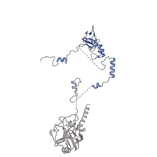 30875_7dvq_9_v1-0
Cryo-EM Structure of the Activated Human Minor Spliceosome (minor Bact Complex)