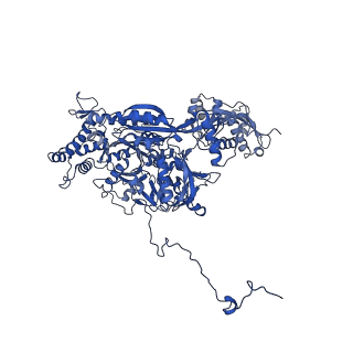 30875_7dvq_C_v1-0
Cryo-EM Structure of the Activated Human Minor Spliceosome (minor Bact Complex)